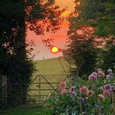 北单app官方版下载