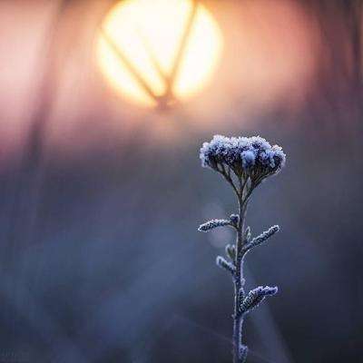 星空app官方版下载手机版