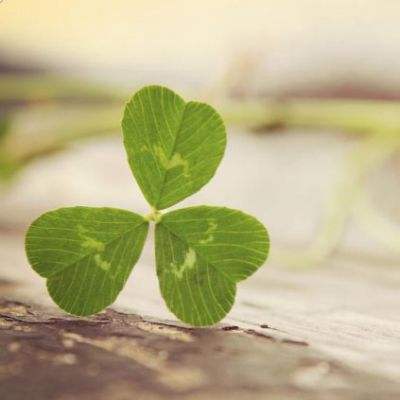 万博max官方入口