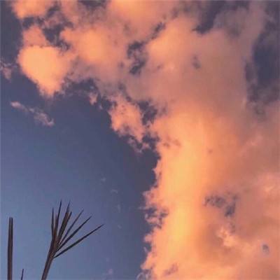 乐鱼竞彩官网下载手机版