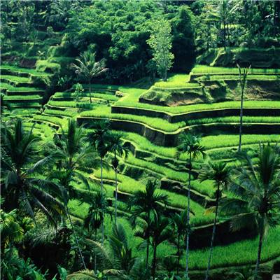 魅影快三app下载安装手机版