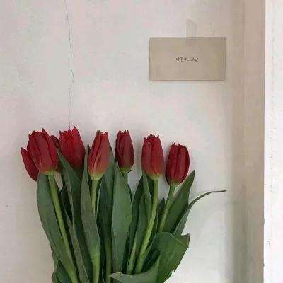 pg麻将胡了下载手机app下载